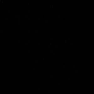 Meet your Posher, Curtis